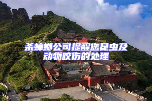 殺蟑螂公司提醒您昆蟲及動物咬傷的處理