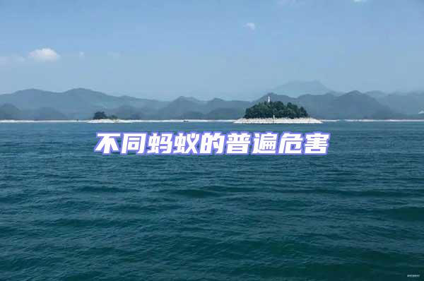 不同螞蟻的普遍危害