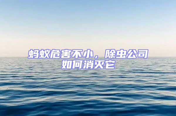 螞蟻危害不小，除蟲公司如何消滅它