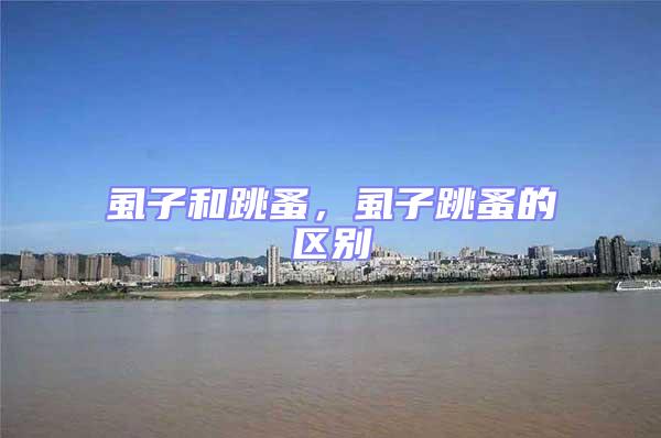 虱子和跳蚤，虱子跳蚤的區(qū)別