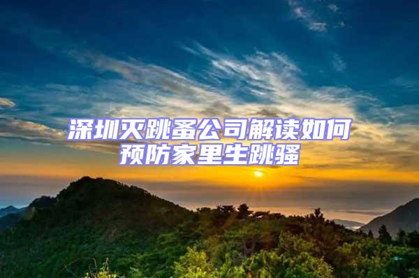 深圳滅跳蚤公司解讀如何預(yù)防家里生跳騷