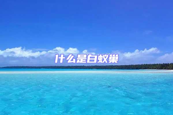 什么是白蟻巢