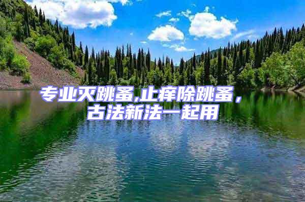 專業滅跳蚤,止癢除跳蚤， 古法新法一起用
