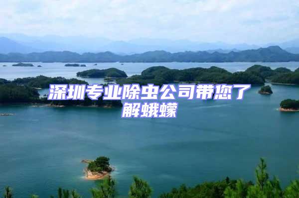 深圳專業除蟲公司帶您了解蛾蠓