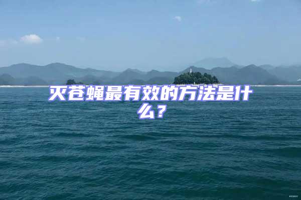 滅蒼蠅最有效的方法是什么？