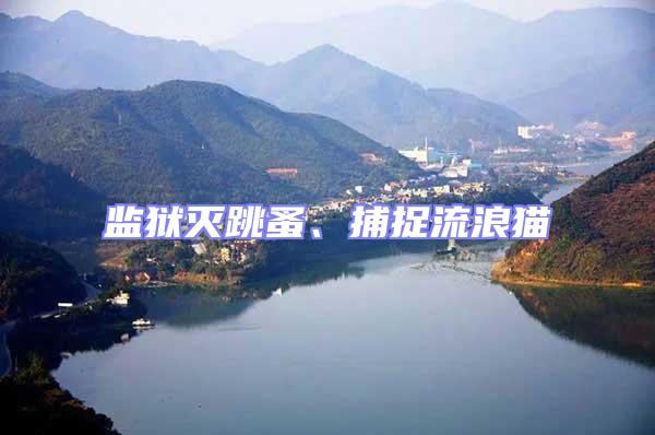 監獄滅跳蚤、捕捉流浪貓