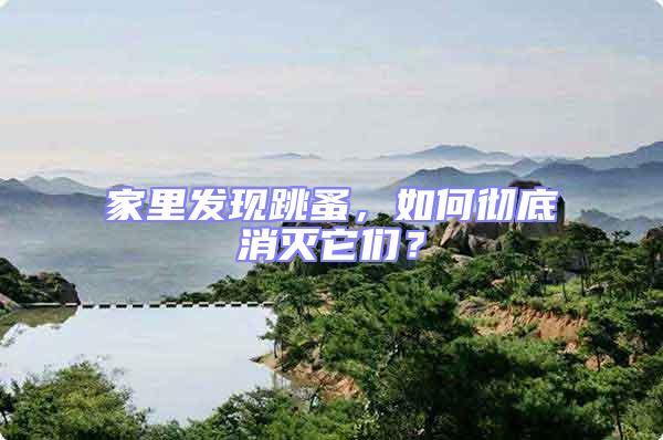 家里發現跳蚤，如何徹底消滅它們？