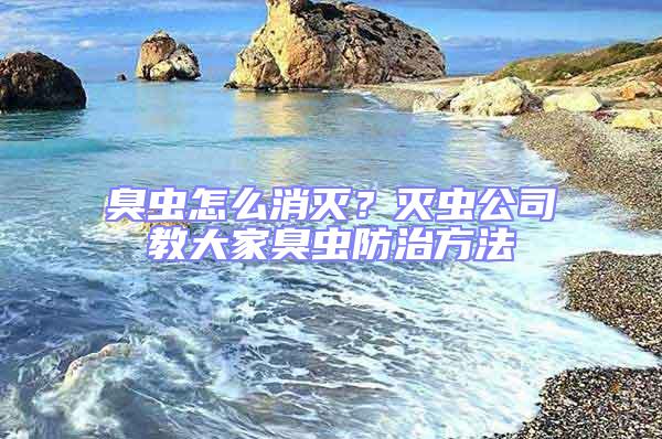 臭蟲怎么消滅？滅蟲公司教大家臭蟲防治方法