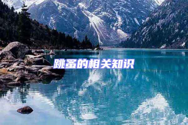 跳蚤的相關(guān)知識(shí)