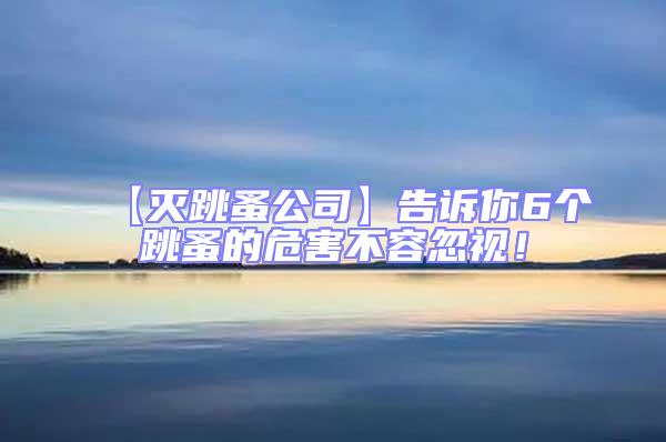 【滅跳蚤公司】告訴你6個跳蚤的危害不容忽視！
