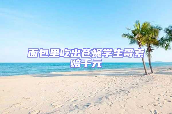 面包里吃出蒼蠅學(xué)生哥索賠千元