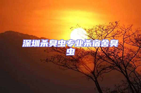 深圳殺臭蟲(chóng)專(zhuān)業(yè)殺宿舍臭蟲(chóng)