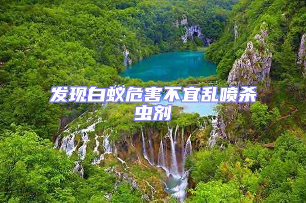 發(fā)現(xiàn)白蟻危害不宜亂噴殺蟲劑