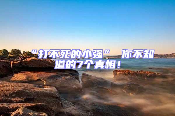 “打不死的小強” 你不知道的7個真相！