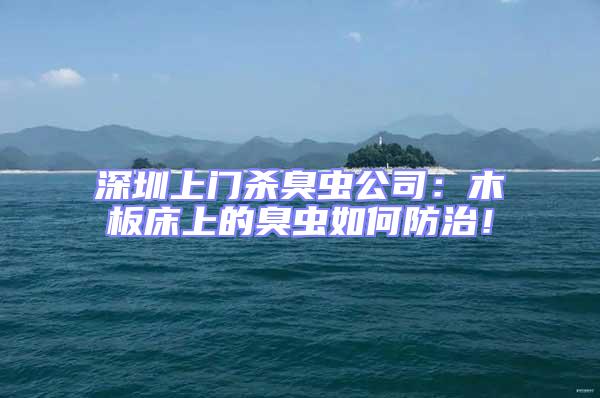 深圳上門殺臭蟲公司：木板床上的臭蟲如何防治！