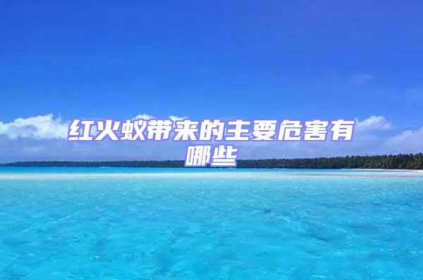 紅火蟻帶來的主要危害有哪些