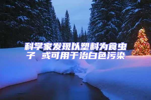 科學家發現以塑料為食蟲子 或可用于治白色污染