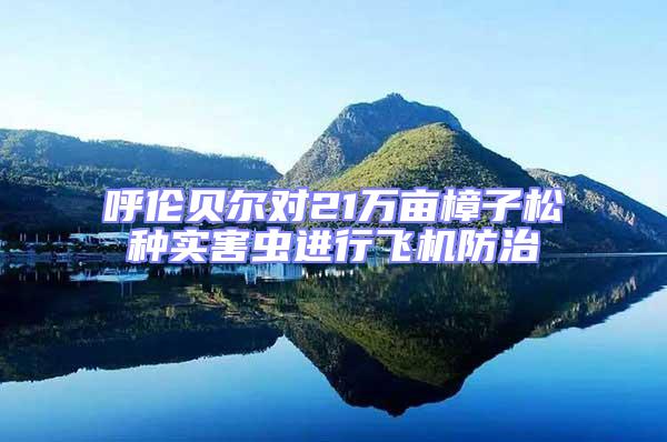 呼倫貝爾對21萬畝樟子松種實害蟲進行飛機防治