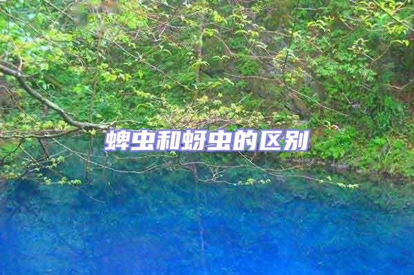 蜱蟲(chóng)和蚜蟲(chóng)的區(qū)別