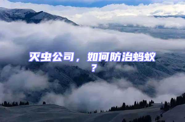 滅蟲公司，如何防治螞蟻？