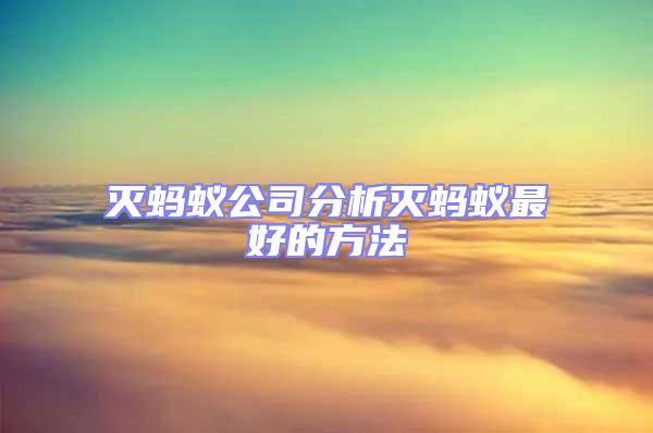 滅螞蟻公司分析滅螞蟻最好的方法