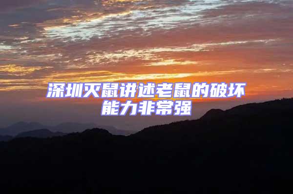 深圳滅鼠講述老鼠的破壞能力非常強