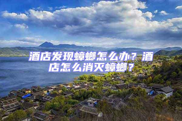 酒店發現蟑螂怎么辦？酒店怎么消滅蟑螂？