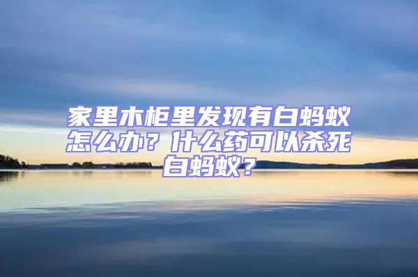 家里木柜里發(fā)現(xiàn)有白螞蟻怎么辦？什么藥可以殺死白螞蟻？