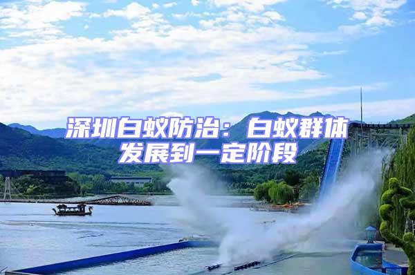 深圳白蟻防治：白蟻群體發展到一定階段