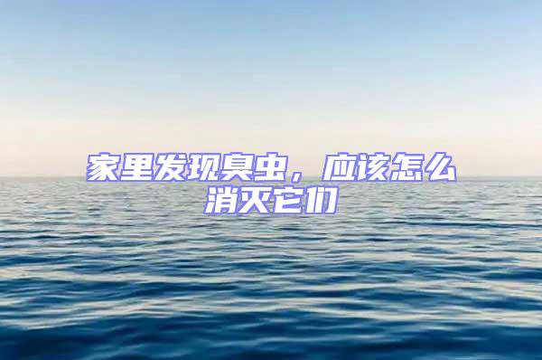 家里發現臭蟲，應該怎么消滅它們