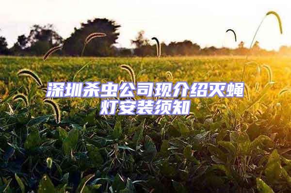 深圳殺蟲公司現介紹滅蠅燈安裝須知