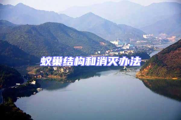 蟻巢結構和消滅辦法
