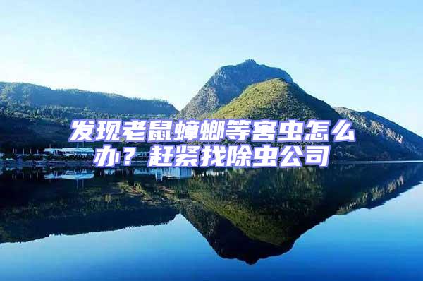 發(fā)現(xiàn)老鼠蟑螂等害蟲怎么辦？趕緊找除蟲公司