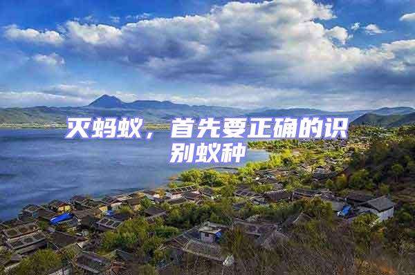 滅螞蟻，首先要正確的識(shí)別蟻種
