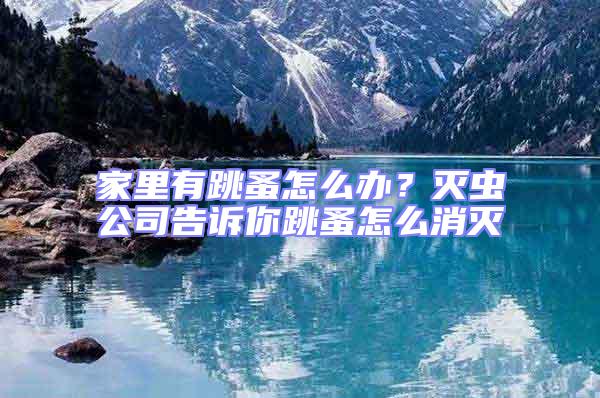 家里有跳蚤怎么辦？滅蟲公司告訴你跳蚤怎么消滅