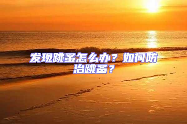 發現跳蚤怎么辦？如何防治跳蚤？