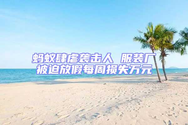 螞蟻肆虐襲擊人 服裝廠被迫放假每周損失萬(wàn)元