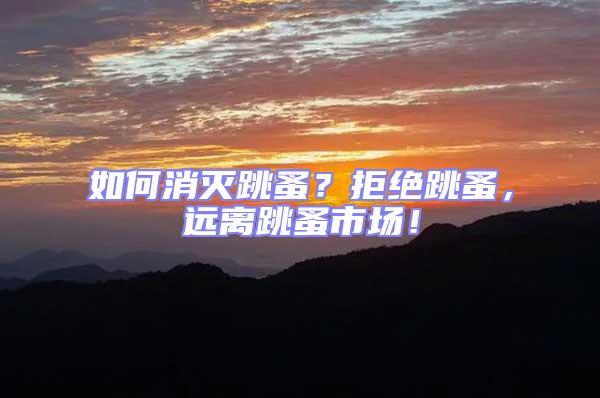 如何消滅跳蚤？拒絕跳蚤，遠離跳蚤市場！