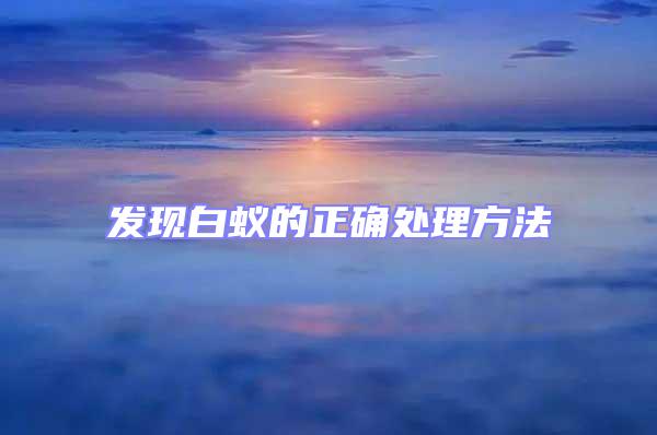 發現白蟻的正確處理方法