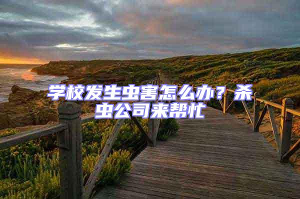 學校發生蟲害怎么辦？殺蟲公司來幫忙