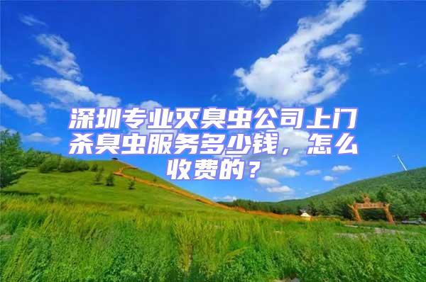 深圳專業滅臭蟲公司上門殺臭蟲服務多少錢，怎么收費的？