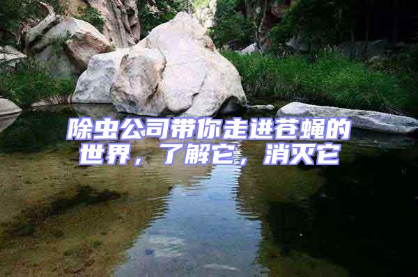 除蟲公司帶你走進蒼蠅的世界，了解它，消滅它