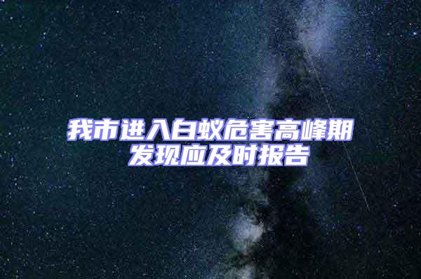 我市進入白蟻危害高峰期 發現應及時報告
