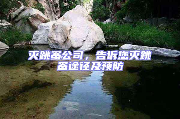 滅跳蚤公司，告訴您滅跳蚤途徑及預防