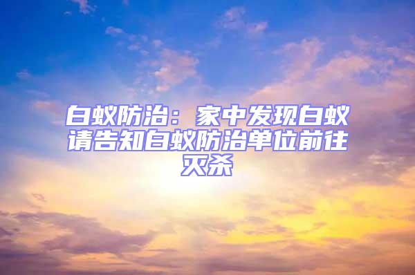 白蟻防治：家中發(fā)現(xiàn)白蟻請告知白蟻防治單位前往滅殺