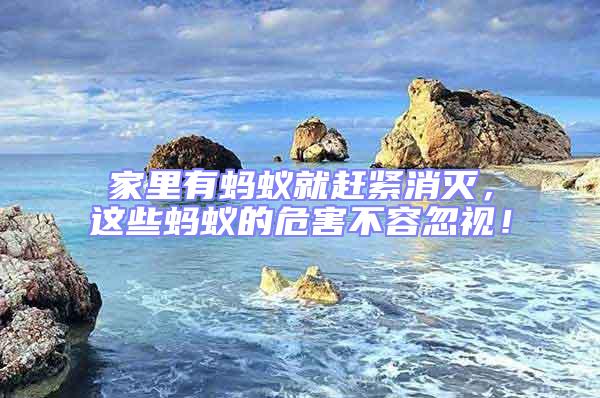 家里有螞蟻就趕緊消滅，這些螞蟻的危害不容忽視！