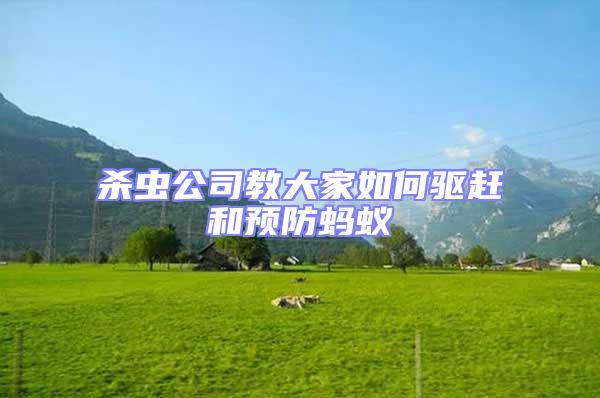 殺蟲公司教大家如何驅趕和預防螞蟻