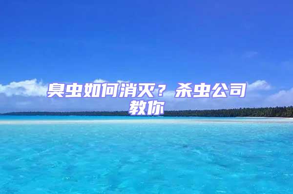 臭蟲如何消滅？殺蟲公司教你