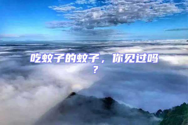 吃蚊子的蚊子，你見過嗎？