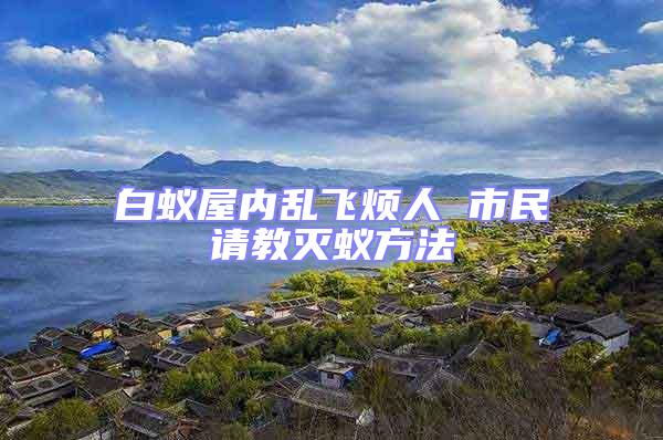 白蟻屋內亂飛煩人 市民請教滅蟻方法